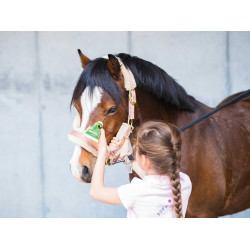 Émouchine Protec Gel Ravene Dose + Schwamm Émouchine Protec Gel Ravene Dose + Schwamm