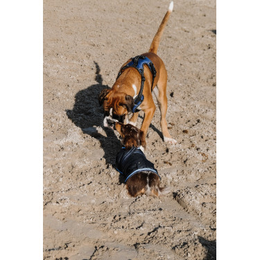 Hundedecke Equithème Eco 600D Hundedecke Equithème Eco 600D
