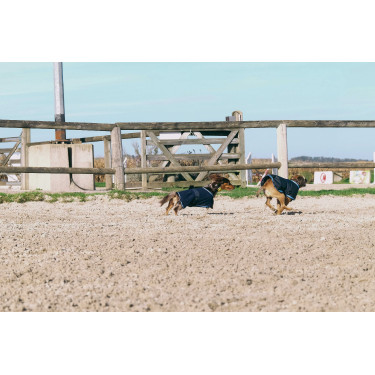 Hundedecke Equithème Eco 600D Hundedecke Equithème Eco 600D
