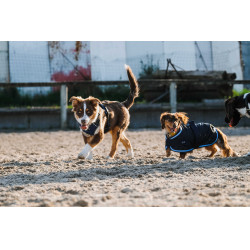 Hundedecke Equithème Eco 600D Hundedecke Equithème Eco 600D
