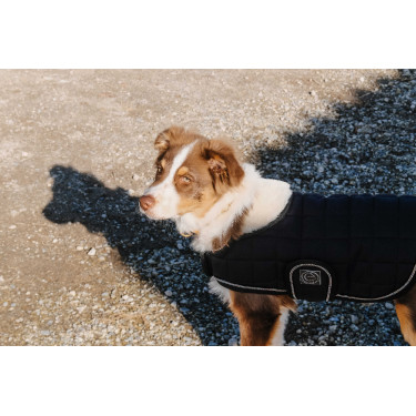 Hundedecke Ich liebe dich Equithème Hundedecke Ich liebe dich Equithème
