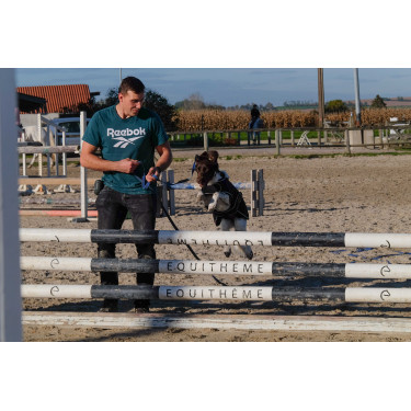 Hundedecke Ich liebe dich Equithème Hundedecke Ich liebe dich Equithème
