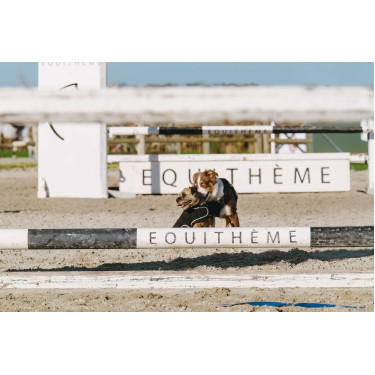 Hundedecke Ich liebe dich Equithème Hundedecke Ich liebe dich Equithème