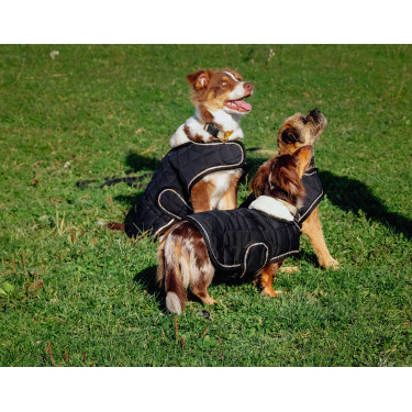 Hundedecke Ich liebe dich Equithème Hundedecke Ich liebe dich Equithème