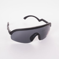 Fahrerbrille Finn-Tack Pro Polycarbonat Dunkel Schwarz