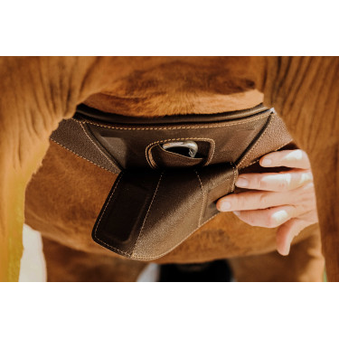 Anatomischer Gurt Magnet Norton Havanna Braun Anatomischer Gurt Magnet Norton Havanna Braun