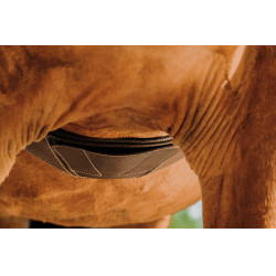 Anatomischer Gurt Magnet Norton Havanna Braun Anatomischer Gurt Magnet Norton Havanna Braun