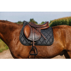 Satteldecke Riding World School Satteldecke Riding World School