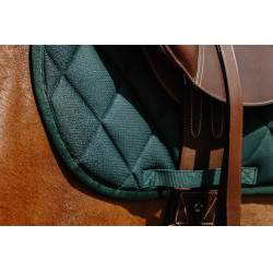Satteldecke Riding World School Satteldecke Riding World School