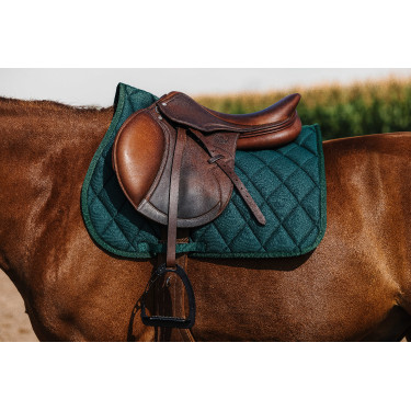 Satteldecke Riding World School Satteldecke Riding World School