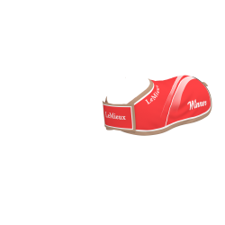 Winners-Decke für Mini-Pony-Spielzeug LeMieux Rot