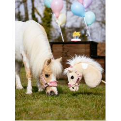 Hobby Horse Dream LeMieux Hobby Horse Dream LeMieux