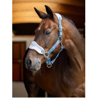 Halfter und Führstrick LeMieux Vogue Esme Blaues Korn Halfter und Führstrick LeMieux Vogue Esme Blaues Korn