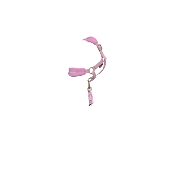 Halfter Vogue für Spielzeug-Mini-Pony LeMieux Blüte Lila