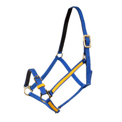 Yankee-Halfter Finn-Tack Pro Nylon mit offenem Nasenriemen Blau / Gelb