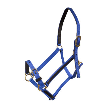 Yankee-Halfter Finn-Tack Pro Nylon mit offenem Nasenriemen