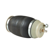 Pneumatische Feder...