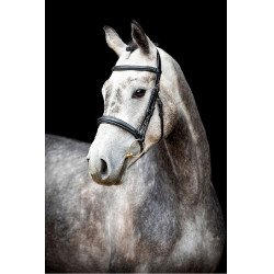 Trense Montar Hunter Schwarz