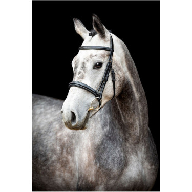 Trense Montar Hunter Schwarz