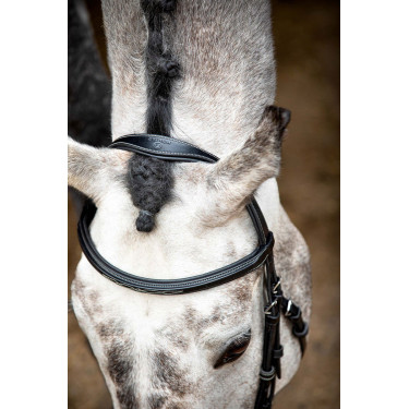 Trense Montar Hunter Schwarz