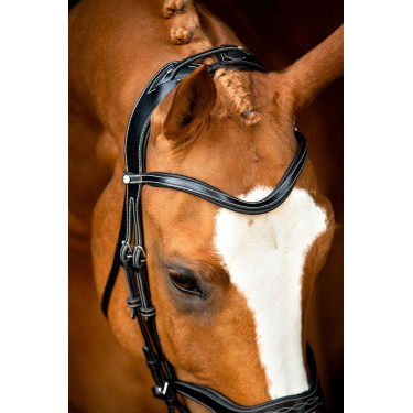 Bridon Montar Monarch organisch gegerbtes Leder Bridon Montar Monarch organisch gegerbtes Leder