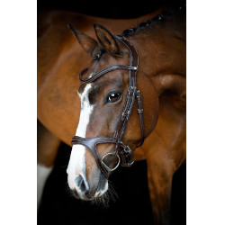 Bridon Montar Monarch organisch gegerbtes Leder Braun