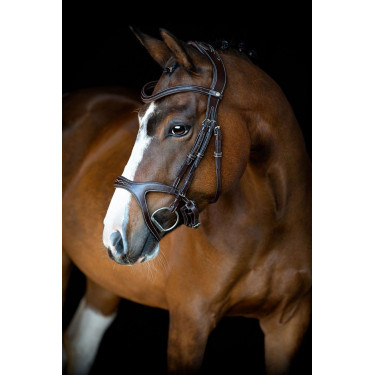 Bridon Montar Monarch organisch gegerbtes Leder Braun