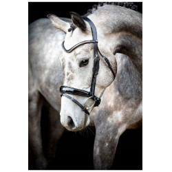 Trense Montar Normandie Deluxe gegerbtes Leder Schwarz