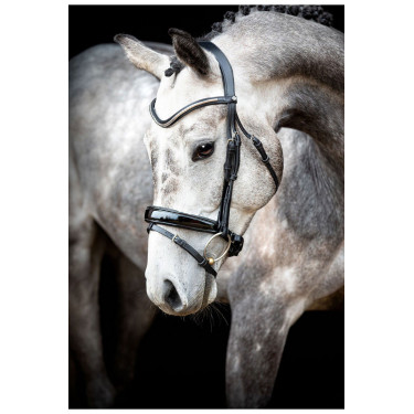 Trense Montar Normandie Deluxe gegerbtes Leder Trense Montar Normandie Deluxe gegerbtes Leder