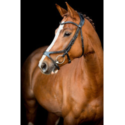 Trensenzaum Montar US Excellence Adapt gegerbtes Leder Schwarz