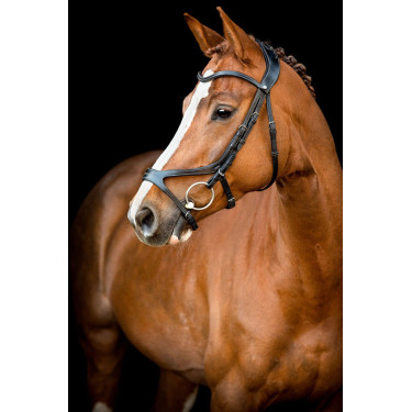 Trensenzaum Montar US Excellence Adapt gegerbtes Leder Trensenzaum Montar US Excellence Adapt gegerbtes Leder