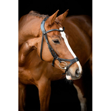 Trensenzaum Montar US Excellence Adapt gegerbtes Leder Trensenzaum Montar US Excellence Adapt gegerbtes Leder