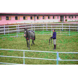 VERZINKTE PANEELE – L 2,40 m – H 1,60 m