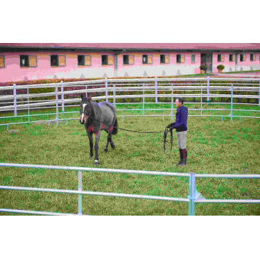 VERZINKTE PANEELE – L 2,40 m – H 1,60 m