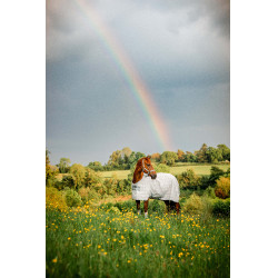 Fliegendecke Horseware Newmarket Holzkohle Witney Grau