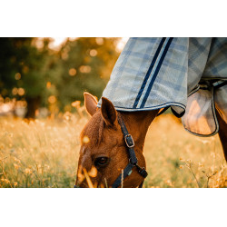 Fliegendecke Horseware Newmarket Plus Marine Witney Marineblau Fliegendecke Horseware Newmarket Plus Marine Witney Marineblau