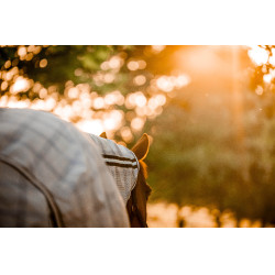 Fliegendecke Horseware Newmarket Plus Marine Witney Marineblau Fliegendecke Horseware Newmarket Plus Marine Witney Marineblau