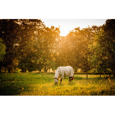 Fliegendecke Horseware Newmarket Plus Holzkohle Witney Grau Fliegendecke Horseware Newmarket Plus Holzkohle Witney Grau