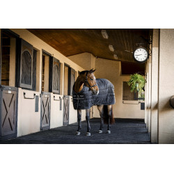 Stalldecke Horseware Amigo Ripstop Insulator 350g Schwarz / schwarz / silber