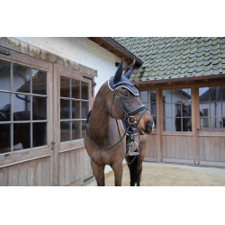 Fliegenhaube Wellington Kentucky Softshell Marine Marineblau Fliegenhaube Wellington Kentucky Softshell Marine Marineblau