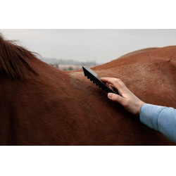 Stahlstriegel Grooming Deluxe Schwarz