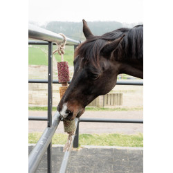 Entspannendes Holzspielzeug Grooming Deluxe Notlage Entspannendes Holzspielzeug Grooming Deluxe Notlage