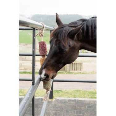 Entspannendes Holzspielzeug Grooming Deluxe Notlage Entspannendes Holzspielzeug Grooming Deluxe Notlage