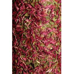 Entspannendes Holzspielzeug Grooming Deluxe Notlage Entspannendes Holzspielzeug Grooming Deluxe Notlage