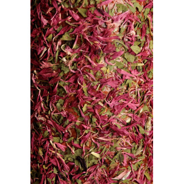 Entspannendes Holzspielzeug Grooming Deluxe Notlage Entspannendes Holzspielzeug Grooming Deluxe Notlage