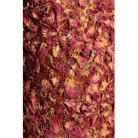 Entspannendes Holzspielzeug Grooming Deluxe Notlage