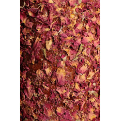 Entspannendes Holzspielzeug Grooming Deluxe Freiheit Entspannendes Holzspielzeug Grooming Deluxe Freiheit