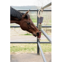 Entspannendes Holzspielzeug Grooming Deluxe Notlage