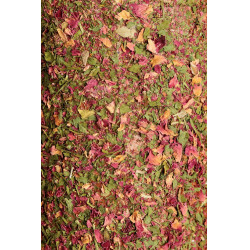 Entspannendes Holzspielzeug Grooming Deluxe mit Salzstein Luftweg Entspannendes Holzspielzeug Grooming Deluxe mit Salzstein Luftweg