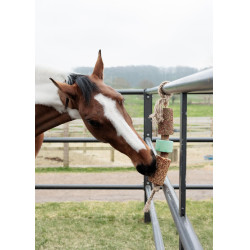 Entspannendes Holzspielzeug Grooming Deluxe mit Salzstein Luftweg Entspannendes Holzspielzeug Grooming Deluxe mit Salzstein Luftweg